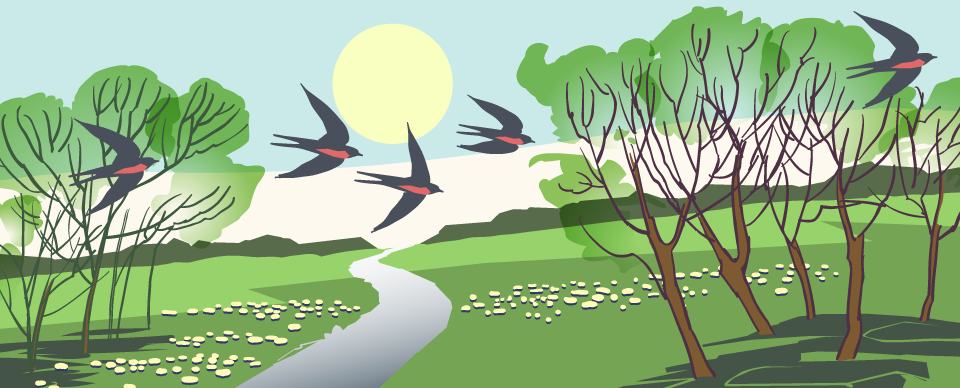 Eparts, web-illustrationer til årstiderne, forår